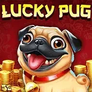 Lucky PugHighfive game thumbnail